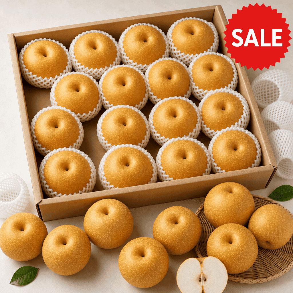 나주 신고배 5kg